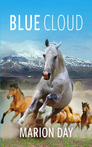 Blue Cloud